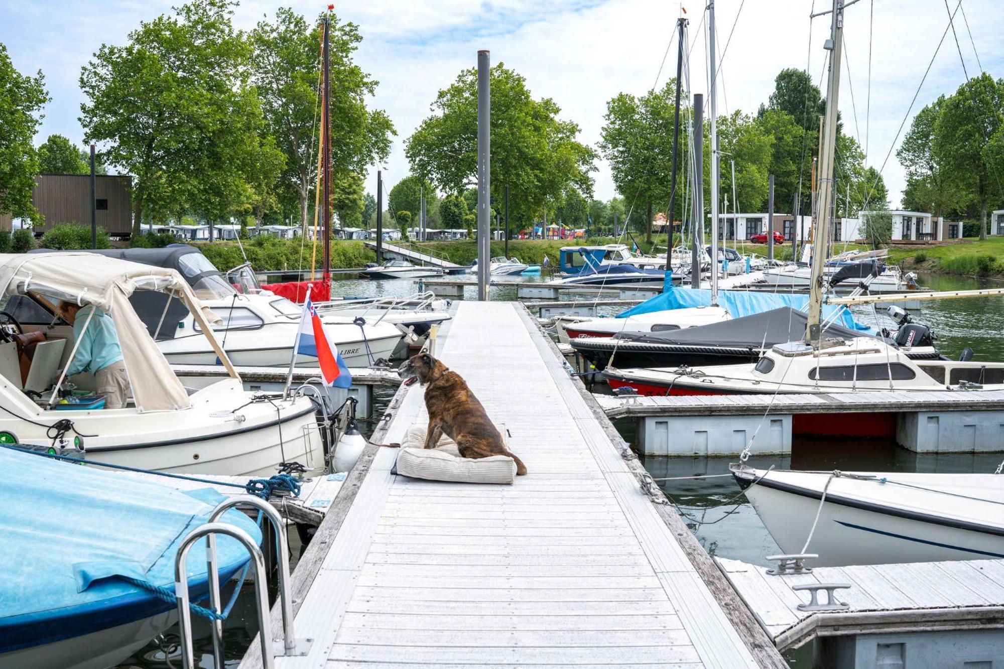 Marinapark Bad Nederrijn Hotel Maurik Kültér fotó